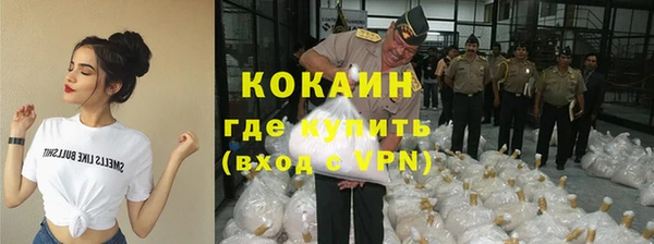 тгк Богданович