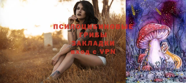 тгк Богданович
