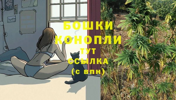 гидропоника Белокуриха