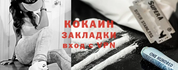 тгк Богданович